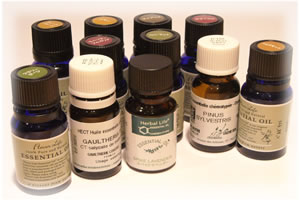 �A���}�I�C���̌��\